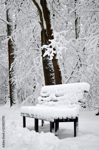 Snow-covered winter park and benches. Winter landscape