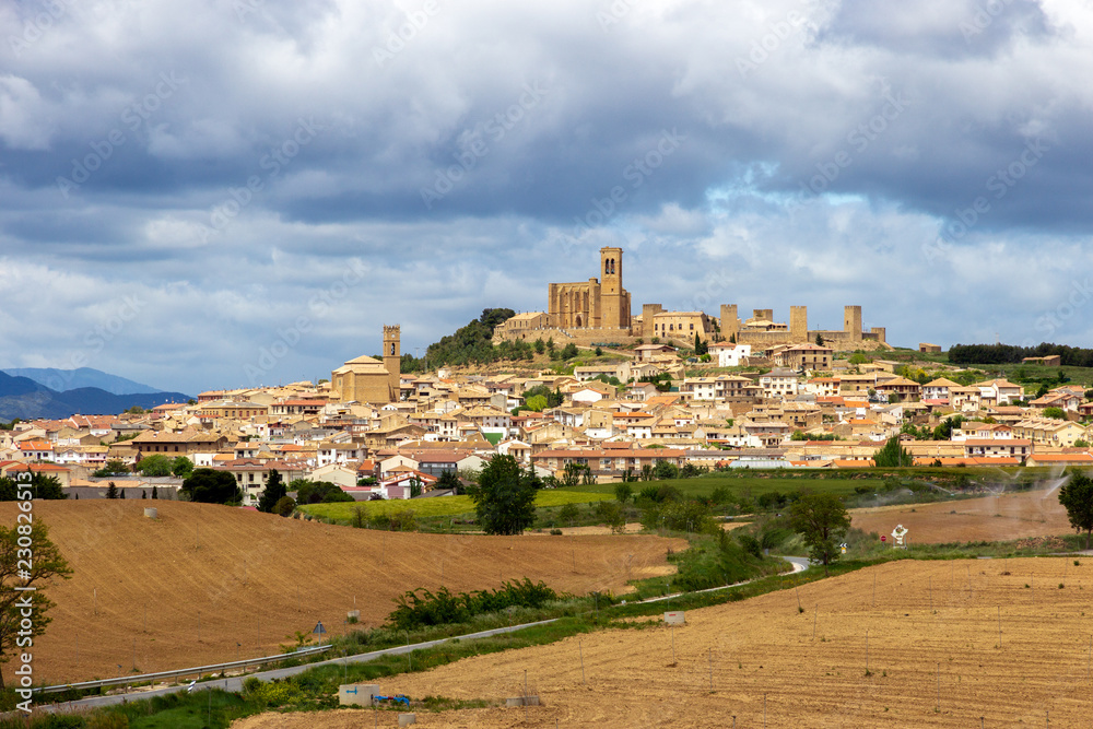 Scenic view over Artajona town. Navarre, Spain