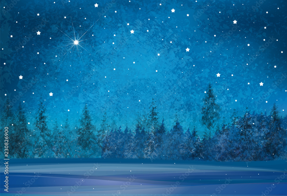 Obraz premium Vector winter wonderland background. Starry night sky and forest background.