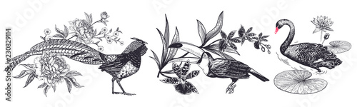 Pheasant and peonies, toucan and orchid, swan and water lily. Vintage engraving.