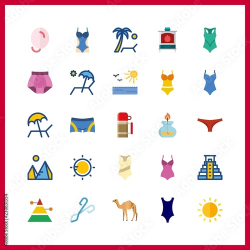 hot icon. thermo and swimsuit vector icons in hot set. Use this illustration for hot works.
