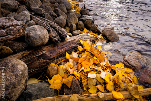 Autumnal Lake Shore