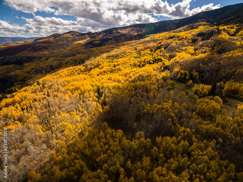 Aerial/Drone photo of yellow Fall/Autumn Aspen trees in the Colorado Rocky Mountains. Located near Aspen, Colorado. USA