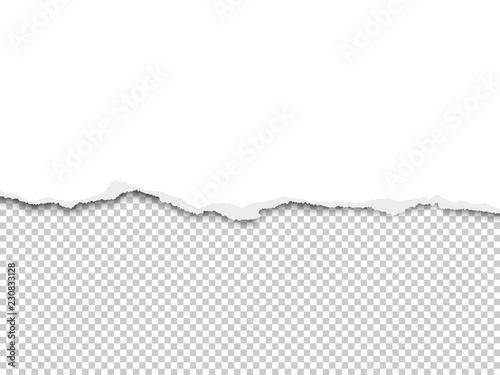 Torn a half sheet of white paper from the bottom placed on transparent background. Vector paper mockup.
