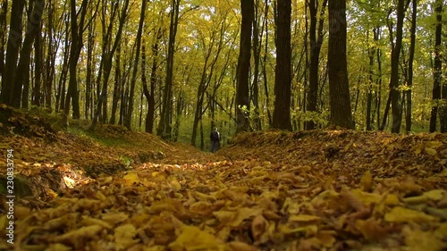 A man walks in the autumn forest photo