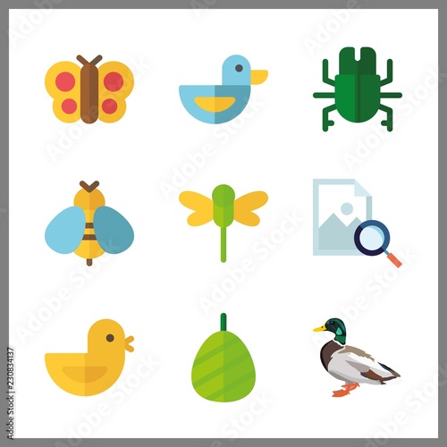 wing icons set. healthy, spring, hot and park graphic works