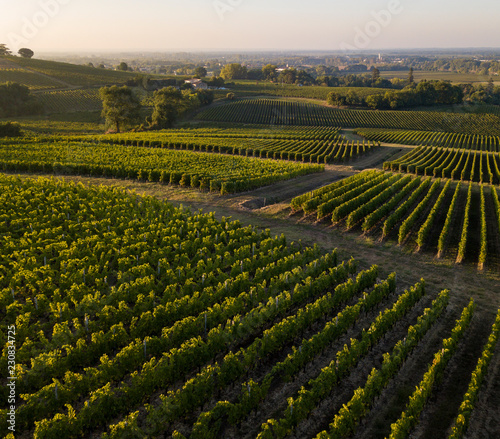 Sunset landscape bordeaux wineyard france, Nature