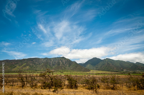 Maui landscape