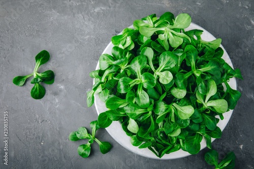 Photos Fresh green Corn salad leaves or lamb's lettuce in bowl