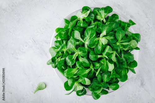 Fotografi Fresh green Corn salad leaves or lamb's lettuce in bowl