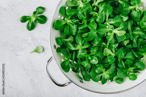 Tableau sur toile Fresh green Corn salad leaves or lamb's lettuce in colander