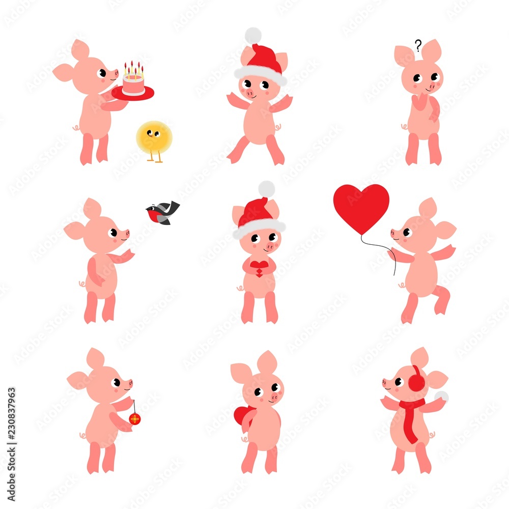 Fototapeta Set of funny and cute pigs. Vector