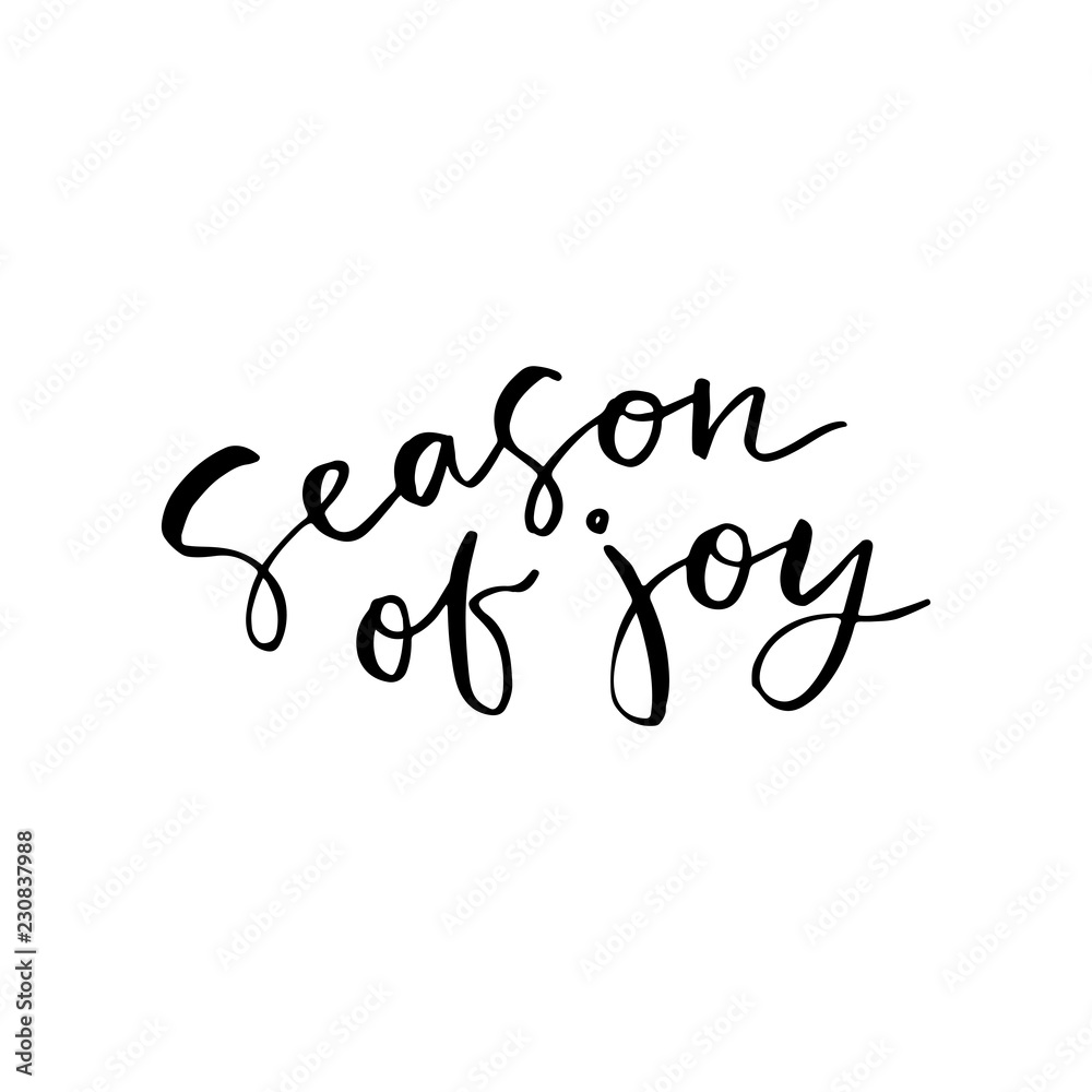 Season of joy. Winter calligraphy quote. Handwritten brush lettering