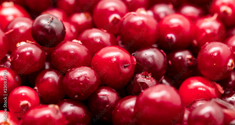 Red cranberry berries as a background Red cranberry berries as a background