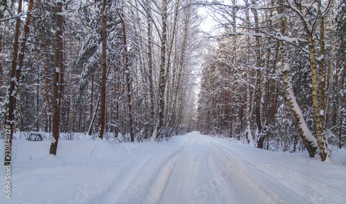Snow road in the forest in winter