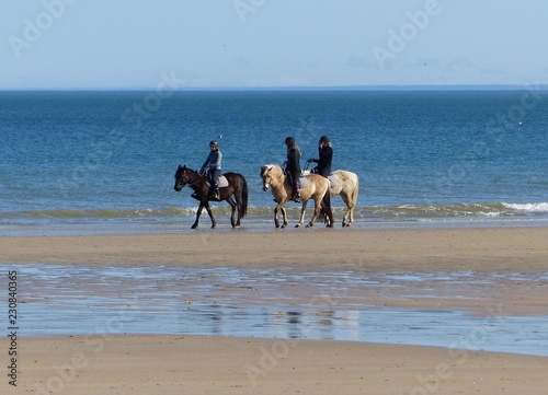 Plage de Collevile-Montgomery