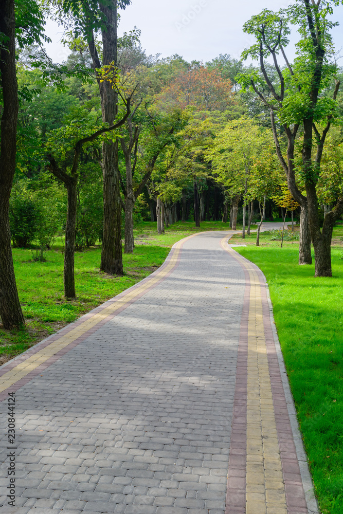 Jogging track at green garden. Summer time. Jogging track at green garden. Summer time.