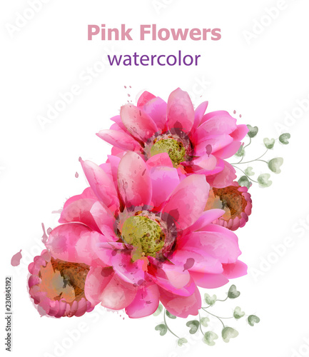 Spring daisy flowers background watercolor Vector. Beautiful vintage pastel c...