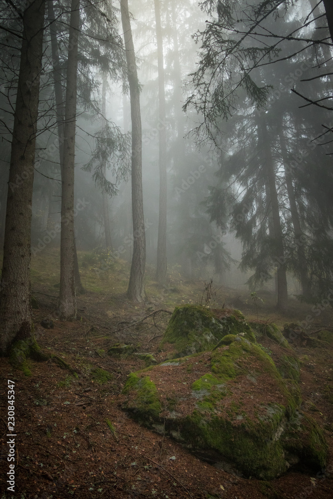 Obraz premium Foggy cold mountains