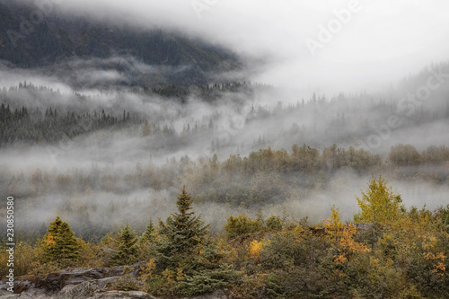 Landscape photograph of fingers of fog through a mountain side of trees