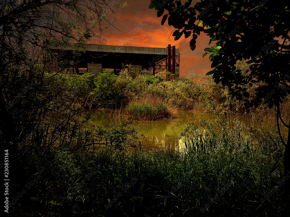 Obraz premium sunset in the park