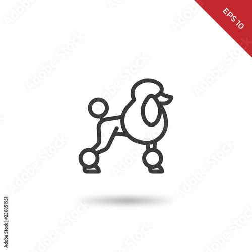 Poodle vector icon