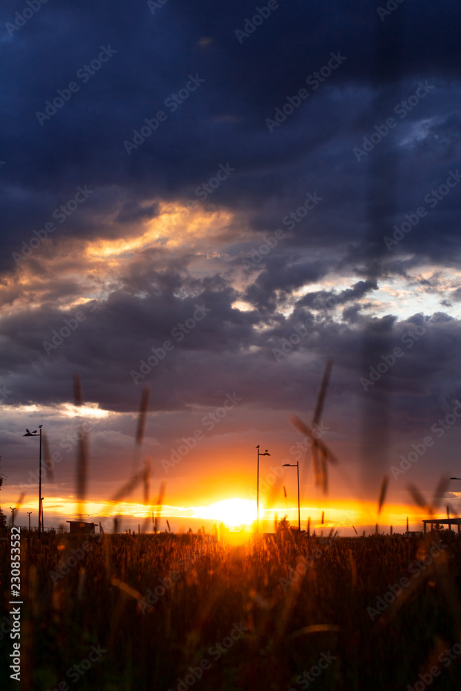Epic cloudy sky with a sunset, wheat fields, and lens flares