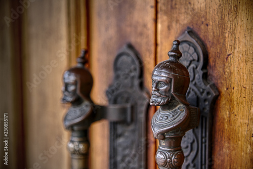 Cuadro en lienzo Knight door
