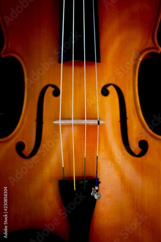 Viola