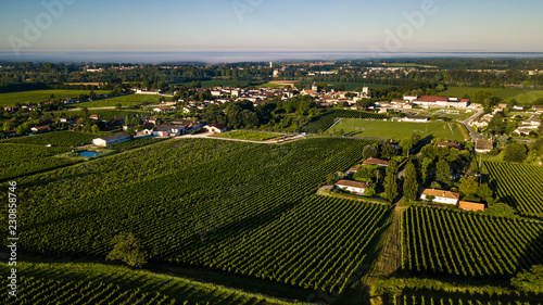 Aerial view, Bordeaux vineyard, landscape vineyard south west of france