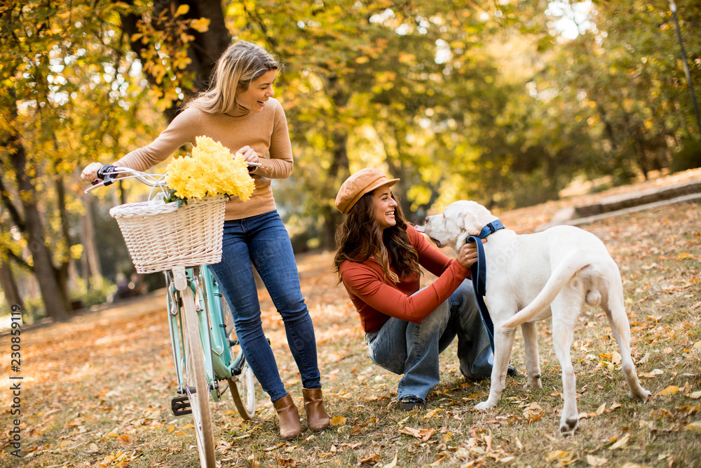 Two female friends walking in the autumn park with dog and bicycle