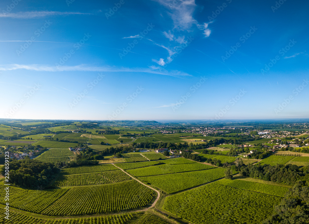 Fototapeta premium Aerial view, Bordeaux vineyard, landscape vineyard south west of france