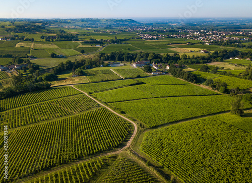 Aerial view, Bordeaux vineyard, landscape vineyard south west of france