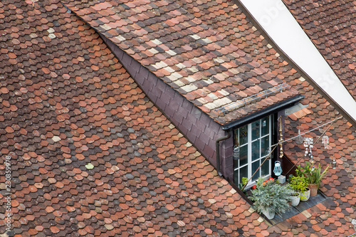 Roof of a traditional house...