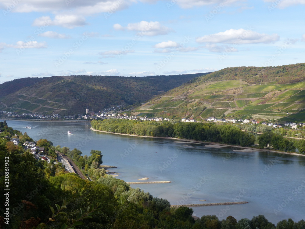 Blick auf Lorch im Rheingau