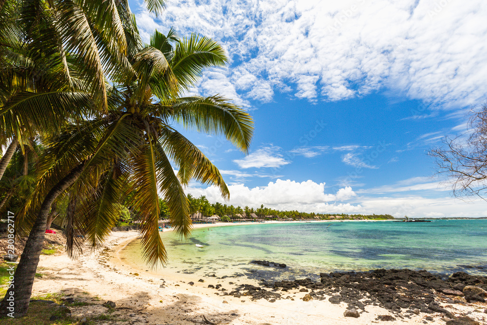 Belle Mare beach with coconut palm tree at Mauritius