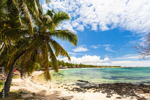 Belle Mare beach with coconut palm tree at Mauritius