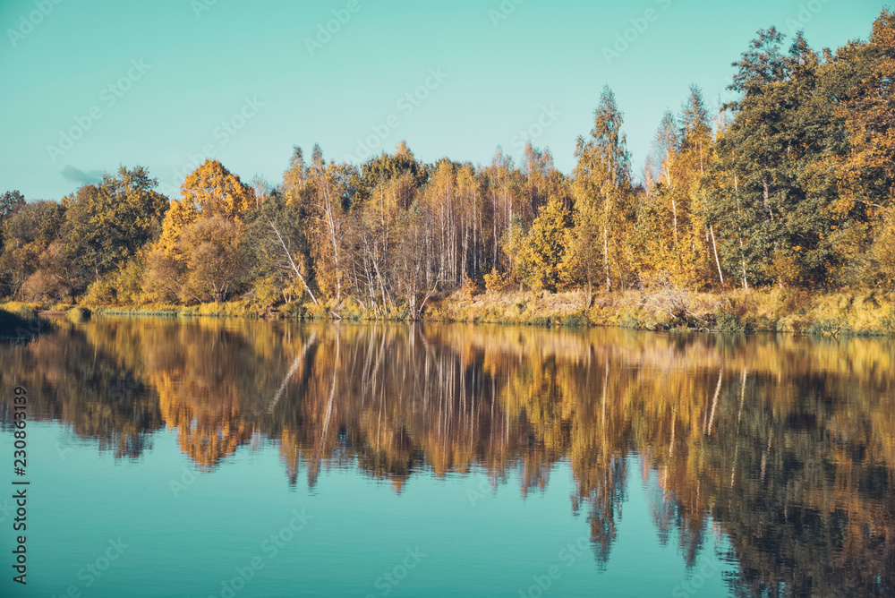 Scenic autumn river with trees on the shore.