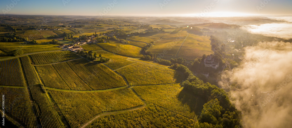 Fotografie, Obraz Aerial view Bordeaux Vineyard at sunrise, Entre deux mers, Langoiran, Gironde