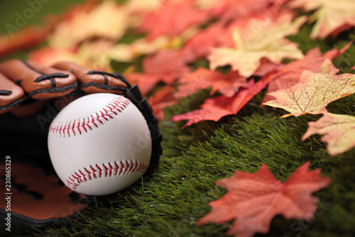 Canvas Print Baseball next to some fallen autumn maple leaves (focus on ball)