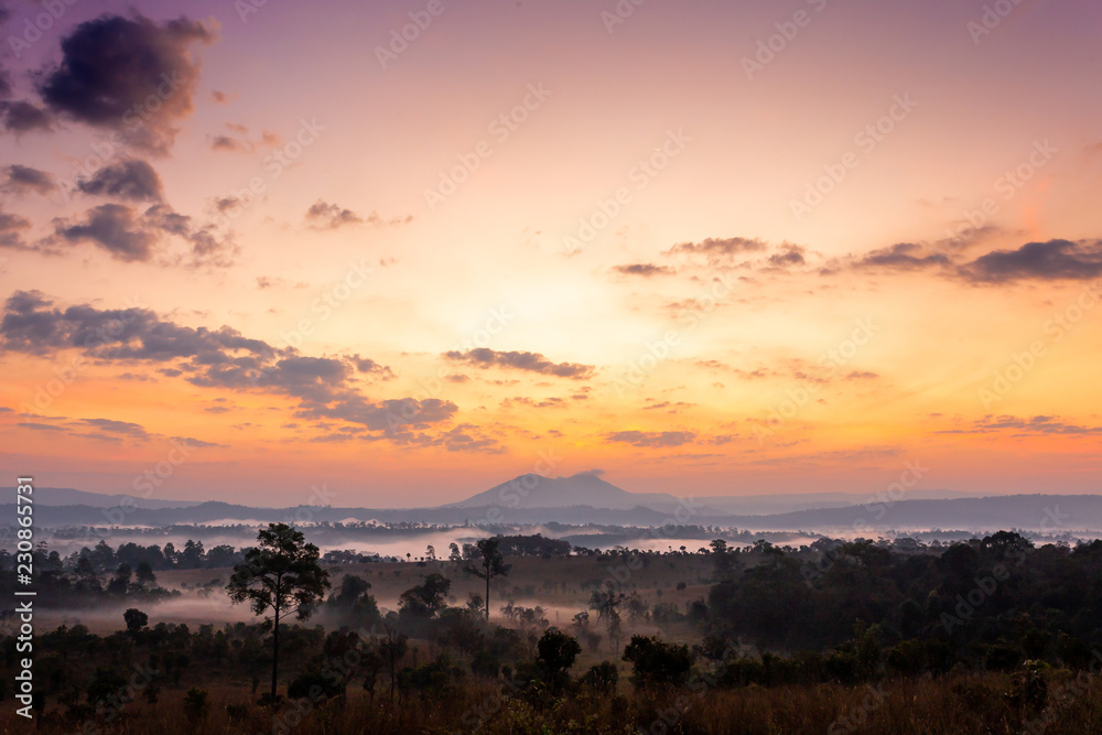 Beautiful forest landscape Thung Salaeng Luang National Park ,mountain at Phetchabun Province,Thailand