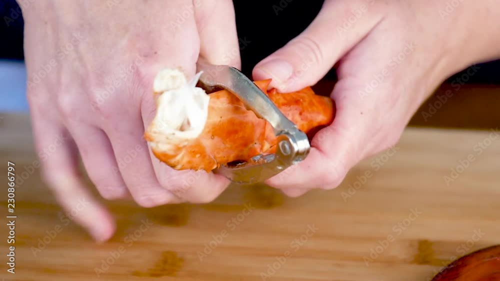 Close up, person breaks open lobster claw
