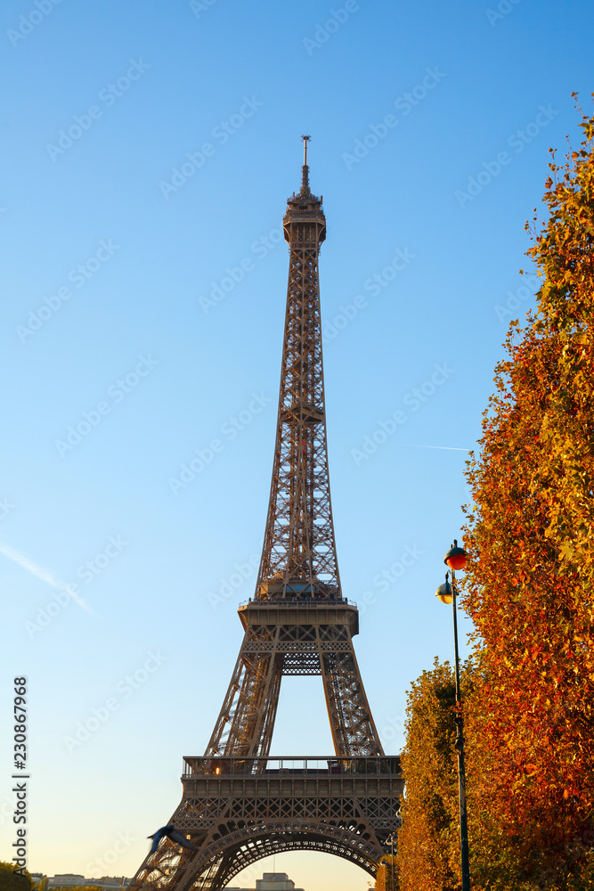 Eiffel tower on autumn trees background. Sunny day