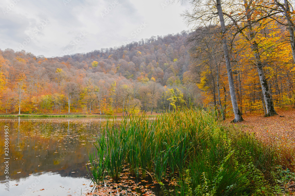 Fototapeta premium Colorful autumn landscape with lake. Armenia