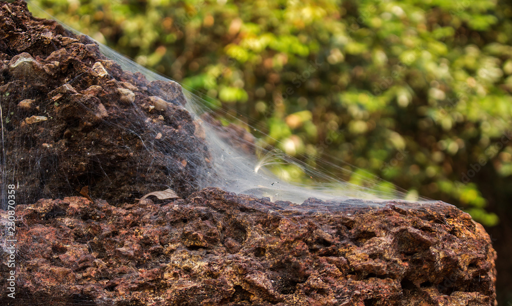 Bright contrast natural background. Dusty heavy old cobwebs with minor natural garbage on a rough porous brown stone with a blurred green background. Bright contrast natural background. Dusty heavy old cobwebs with minor natural garbage on a rough porous brown stone with a blurred green background.