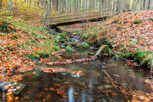 Fototapeta Naklejka Na Ścianę i Meble -  Wood bridge in the forest