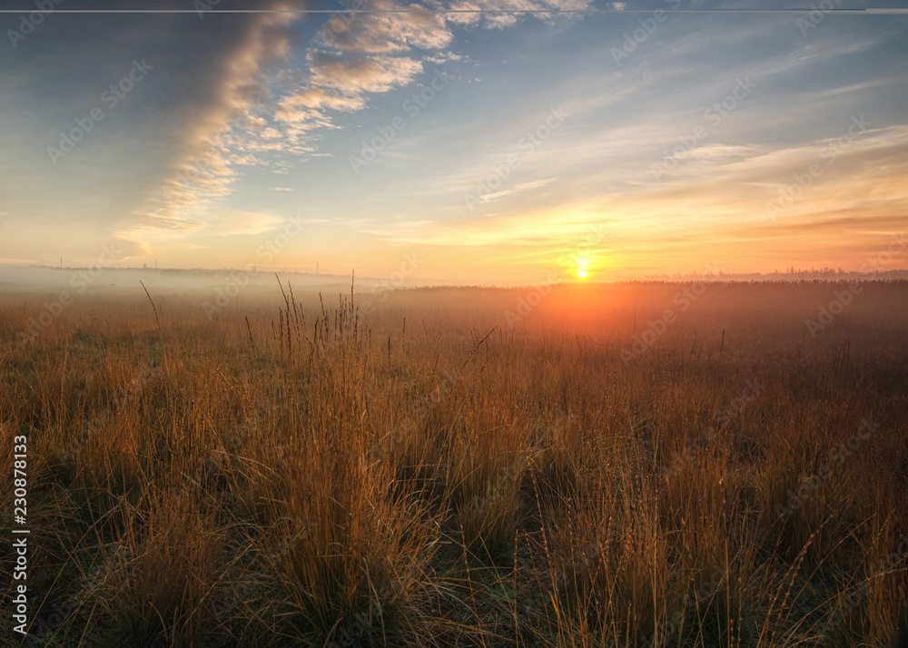 Sunrise in the field