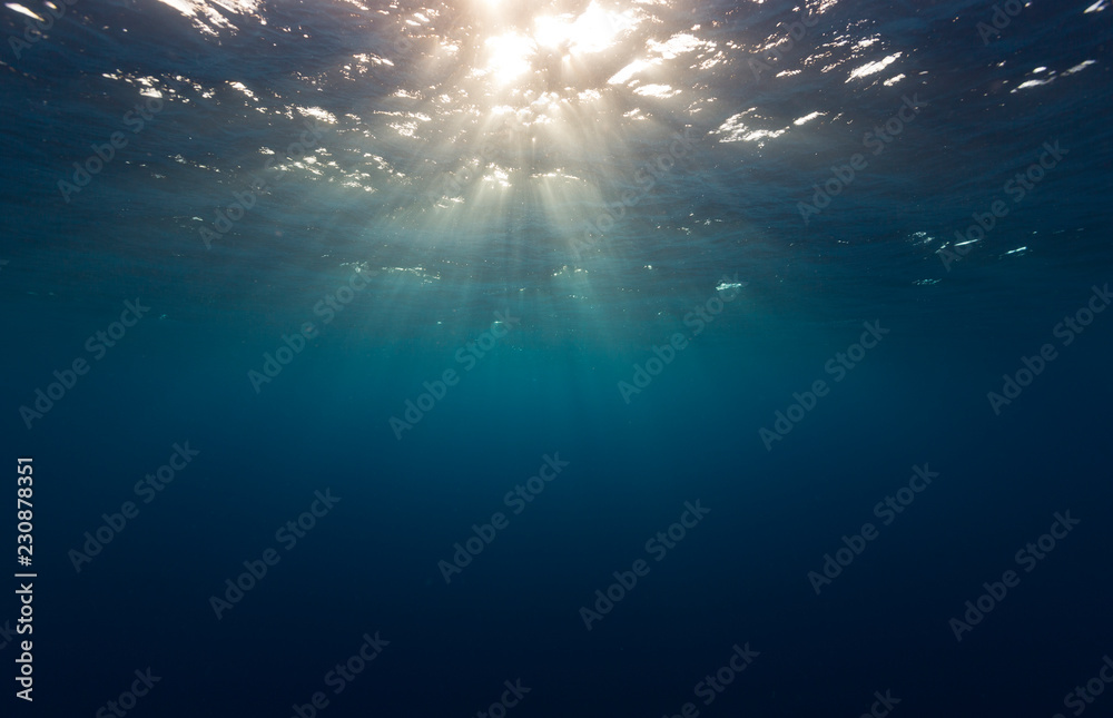 Underwater sunlight scene