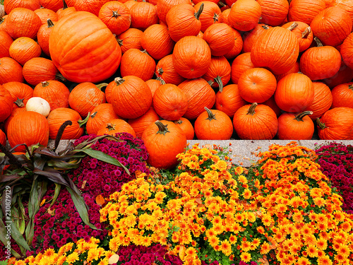 pumpkins and flowers during Halloween at autumn/fall in front of the Rockefeller center in New York USA