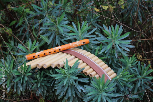 musique des andes